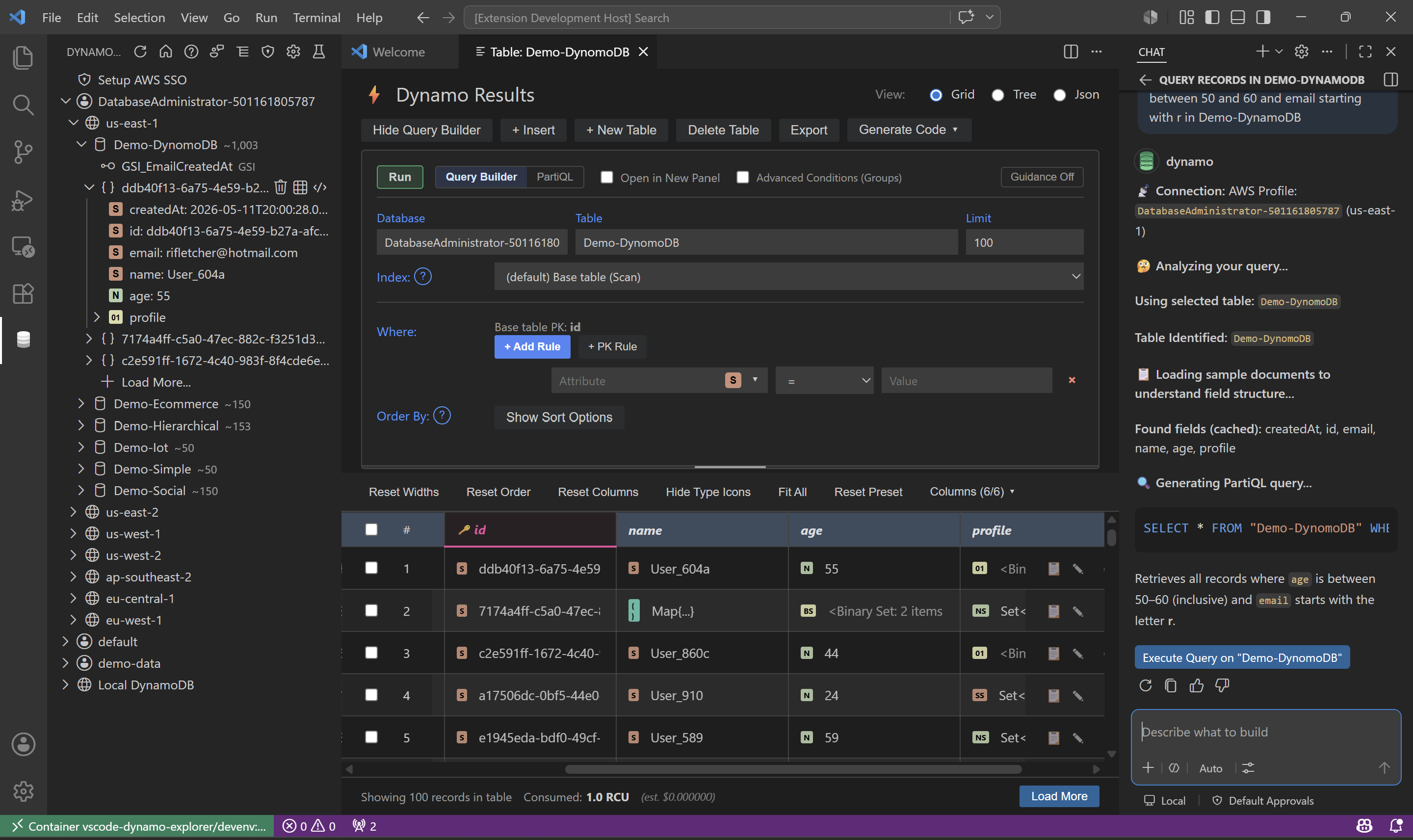 Main table webview showing Query Builder, Grid view, and DynamoDB results